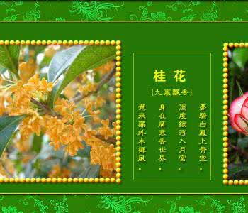 精选湖北民歌名曲32首 经典名歌名曲专辑精选75首【FLASH 绝品音画】