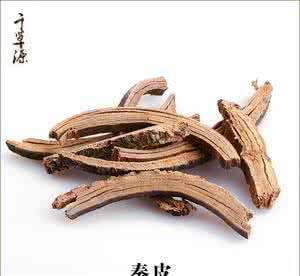 中药秦皮图片 秦皮图片 你见过秦皮的图片什么样子吗