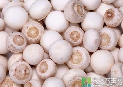 蘑菇和香菇的区别 香菇好坏如何区别 哪一种蘑菇最营养