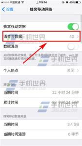 苹果手机如何关闭网络 苹果iPhoneSE怎么关闭4G网络