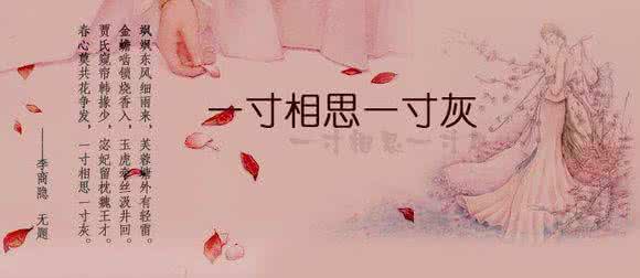 表达爱意的句子 表达爱意的句子有哪些