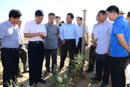 农村经济工作内容 农村经济工作总结