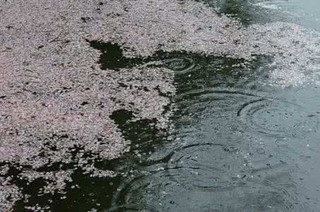 雨天拍摄技巧 在雨天拍摄时应注意什么？