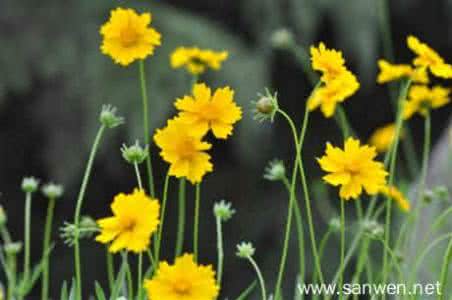 那一抹色彩散文 一抹流年（散文）