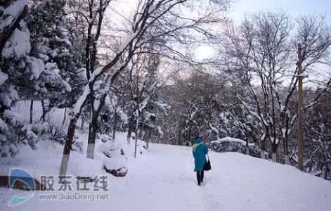 再见只是陌生人 雪，是陌生雪
