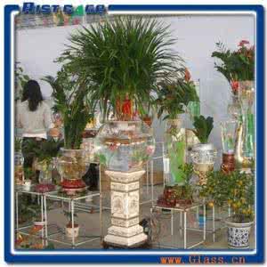水培花卉容器 水培花卉 水培花卉容器的选择