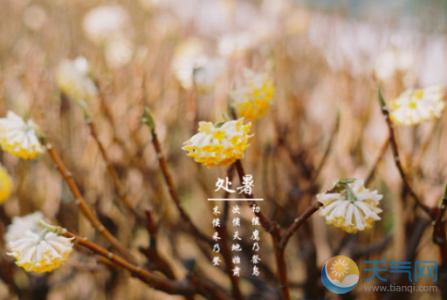 祥康快车验方集锦下册 处暑养生 验方集锦