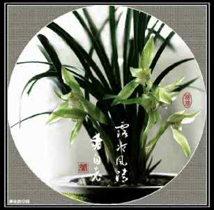 人生之美在于永恒 人生之美在于感激，生活之美在于信心