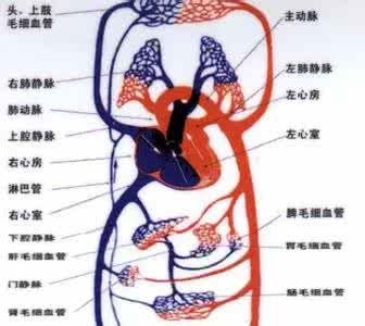 人体矿物质主要来源 人体里的这物竟是“百病之源”