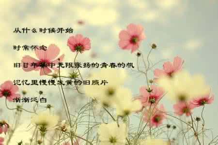 暖香 你的赐予我的爱，暖香了我的温柔【情感美文】