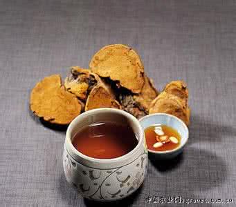 人参养灵芝 灵芝人参好滋补 4大疗效6大功能抗癌养身