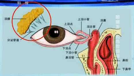 健康之路中耳炎 20151002健康之路视频和笔记:刘玉村,听力下降,中耳炎,听神经瘤