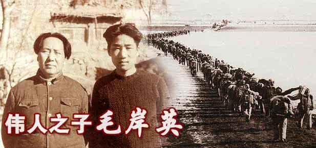 朝鲜半岛历史纪录片 揭秘朝鲜的纪录片 创世界纪录 揭秘中国史上最霸气的公主