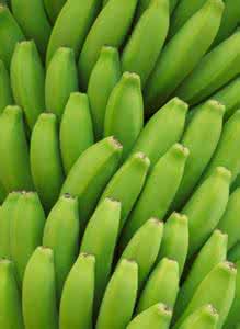 香蕉 便秘 绿香蕉助虽有助减肥 吃多当心便秘