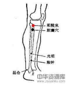 缓解心绞痛 人体重要的养生穴位 点压至阳穴缓解心绞痛