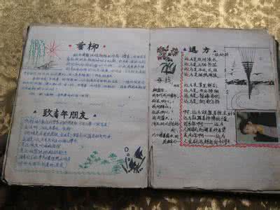 美文摘抄700字初中 700字美文摘抄