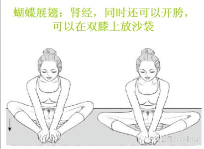 神奇能量经络笔 神奇的拉筋 哪条经络出问题就按图拉吧