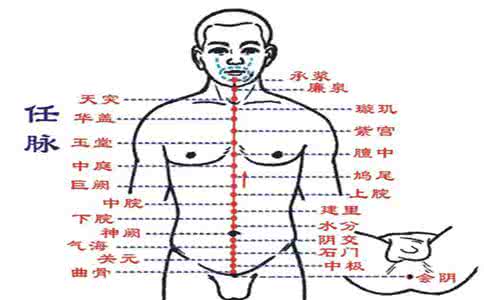 任脉的准确位置图 任脉穴穴位的准确位置图