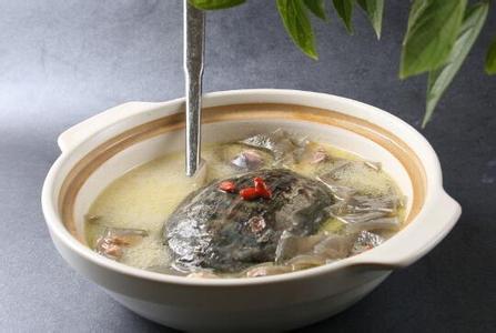 孕妇可以吃甲鱼吗 孕妇可以吃甲鱼吗？孕妇吃甲鱼的危害有哪些？