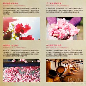 六月玫瑰 六月玫瑰季相遇古尔莎 开启永不凋谢的玫瑰生活