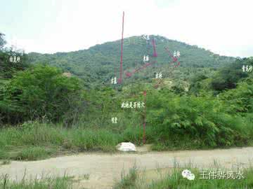 祖坟对后代的影响 祖坟对后代的影响 祖坟如何影响后代的