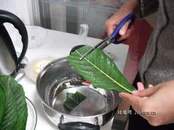 琵琶叶子煮水步骤 咳嗽不止？用这种叶子煮水喝！