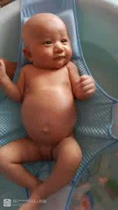 鱼肚子里有几个泡 怎样知道肚子里有几个宝宝