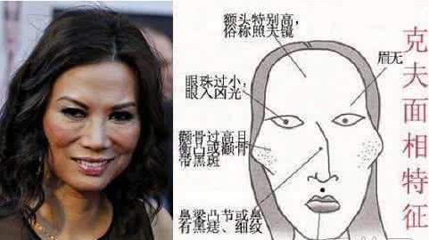 颧骨面相算命图解 颧骨低面相图解
