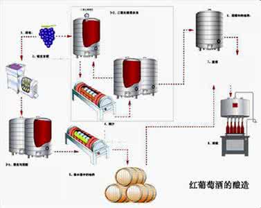 葡萄酒发酵工艺阶段 葡萄酒发酵工艺