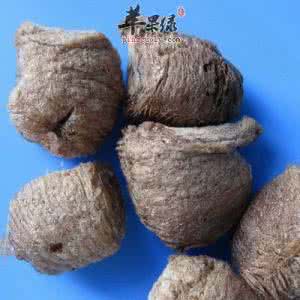 小儿遗尿的治疗方法 桑螵蛸治疗小儿遗尿