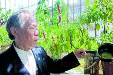 老年人补肾吃什么药 80岁老人每天按摩这儿补肾 79岁还生子!