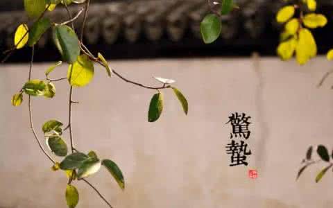 惊蛰春雷响 春雷响，惊蛰到｜3道春季食谱