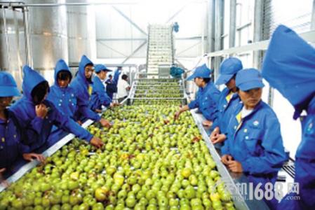 农产品加工业 天柱县农产品加工业发展存在的主要问题与困难