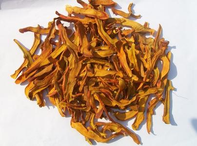 骨碎补治耳鸣研究 骨碎补、苦参治牙痛
