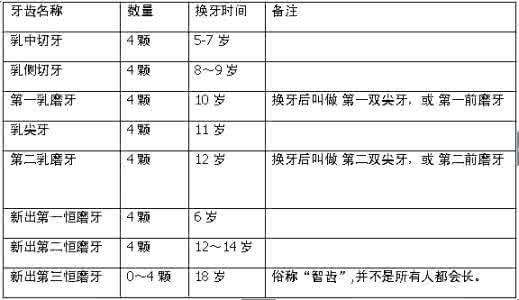 宝宝换牙顺序图 宝宝换牙顺序 爸妈你们了解吗