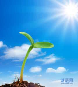 生命是一种过程 原文 生命是一种过程