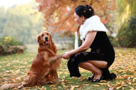 野生动物保护法解读 《男人是野生动物，女人是筑巢动物》(真实解读男人女人)  作者：曾子航