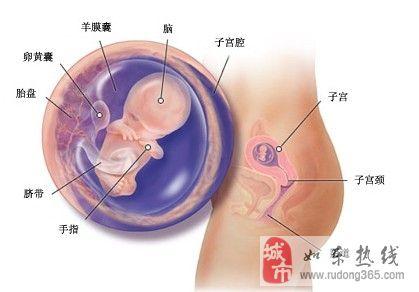 妊娠期头痛 怎样平稳度过妊娠的头三月
