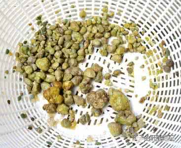 排石秘方 简单特效的排石秘方