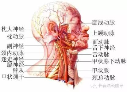 完美63是哪几个部位 完美6 3是哪几个部位 身体哪几个部位碰到最疼