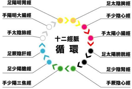 十二经脉养生 十二经脉使用图表，养生必懂的知识