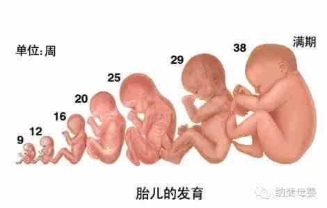 电影弓女孩为什么流血 ​女孩阴道流血的原因