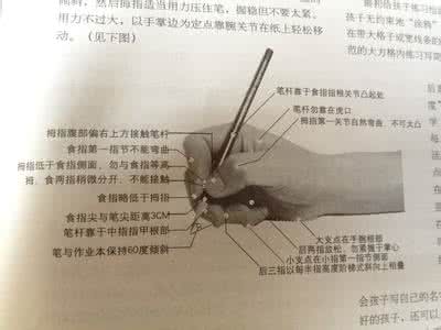 写字握笔的正确方法 正确的握笔方法和写字姿势