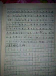 行走的父爱阅读答案 1000字作文 行走的父爱作文1000字