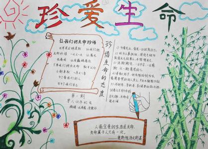 热爱生命手抄报内容 热爱生命手抄报图片