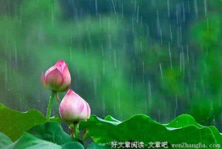 人生哲理 人生哲理 从容面对人生