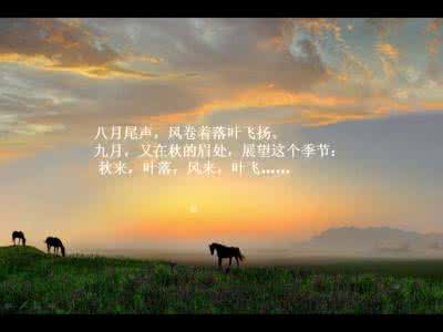 美文生活 心语美文