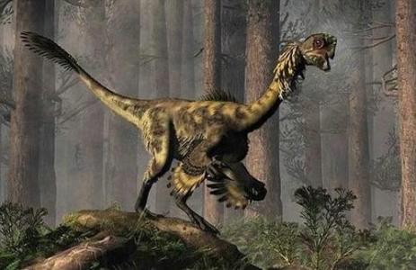 琥珀中发现恐龙 瞧仔细了!这块琥珀里有恐龙!