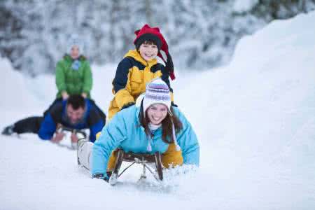 奥运会大雪橇运动 雪橇运动