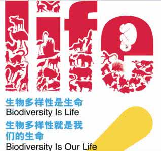 国际湿地日是几月几日 国际生物多样性日是几月几日
